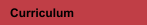 Curriculum